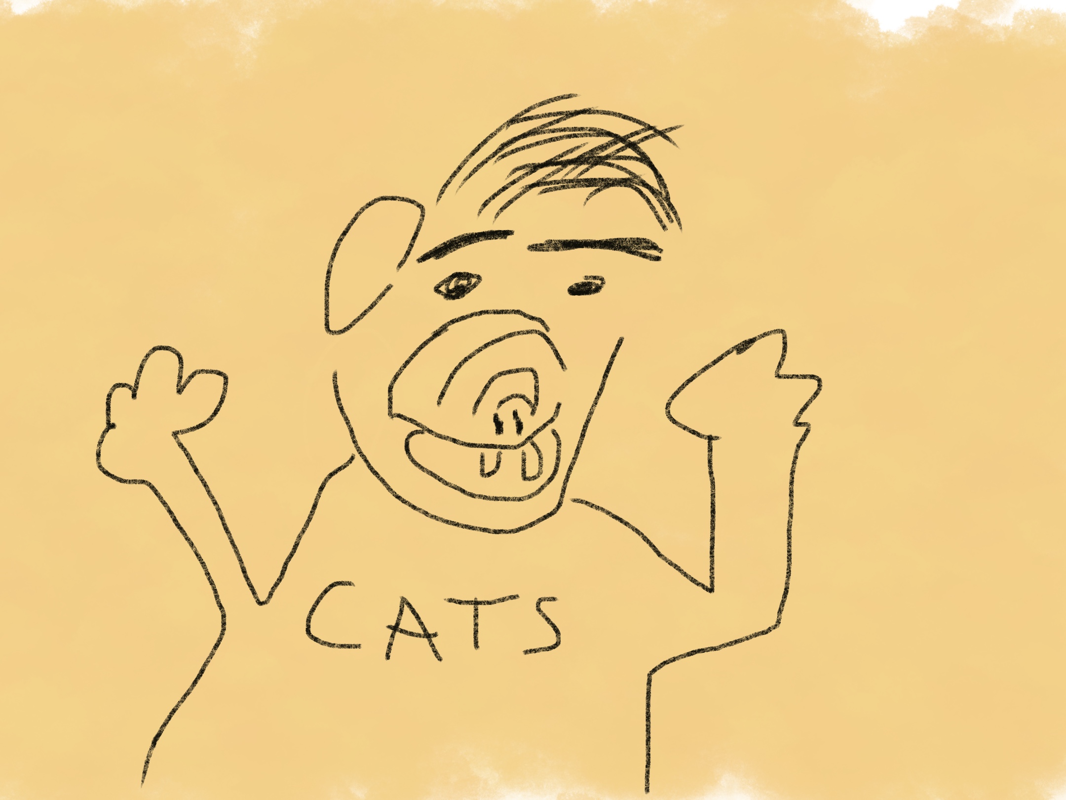 A poorly drawn picture of the alien ALF from the tv show ALF.